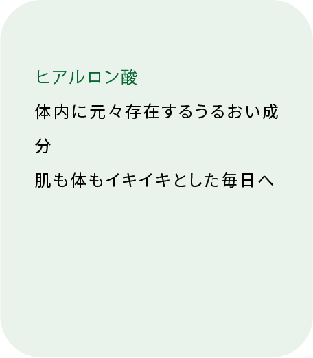ヒアルロン酸 体に必要な潤い成分（裏面）
